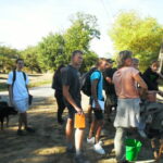 SAM_5139 semaine EIE decouverte des races salers