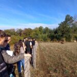 photo 8 aubrac placnhez